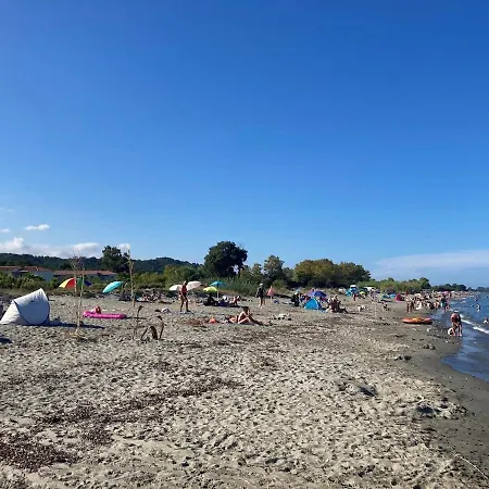 Lägenhet Avec Terrasse Et Acces Direct Et Piscine Santa-Lucia-di-Moriani